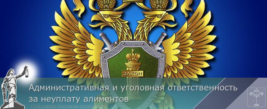 Административная и уголовная ответственность за неуплату алиментов